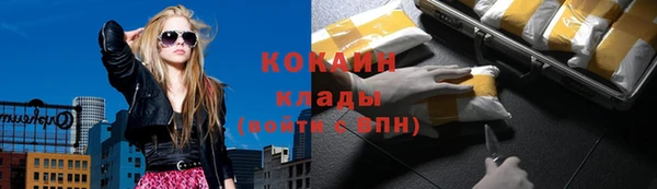 крисы Покровск