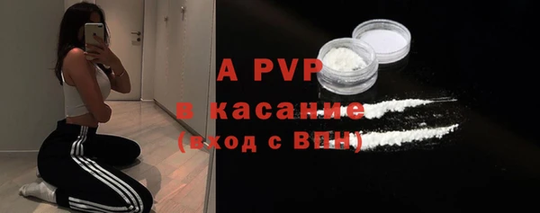стафф Абаза