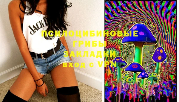 гашик Абинск