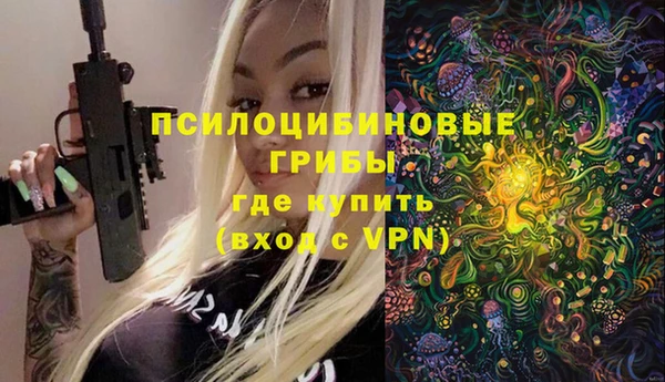 стафф Абаза