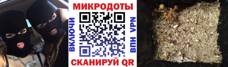 как найти наркотики Краснодар Псилоцибиновые грибы Psilocybine cubensis