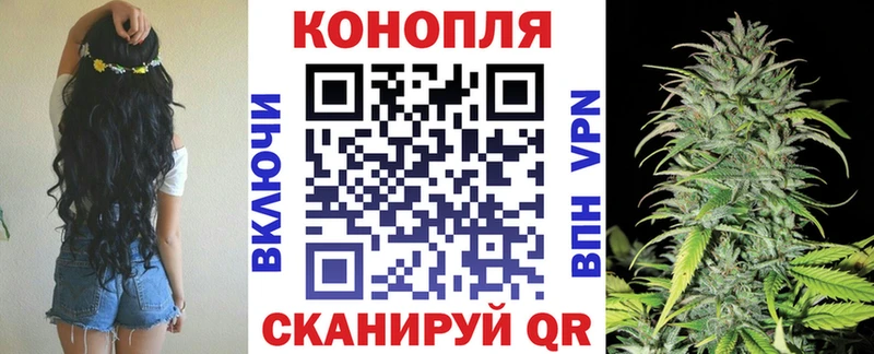 Бошки Шишки гибрид  купить наркотик  Краснодар 
